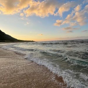 Meet your Posher, Jane